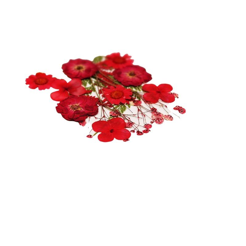 Flores Naturais Prensadas e Se - Art And Craft Nature avaliação e preço